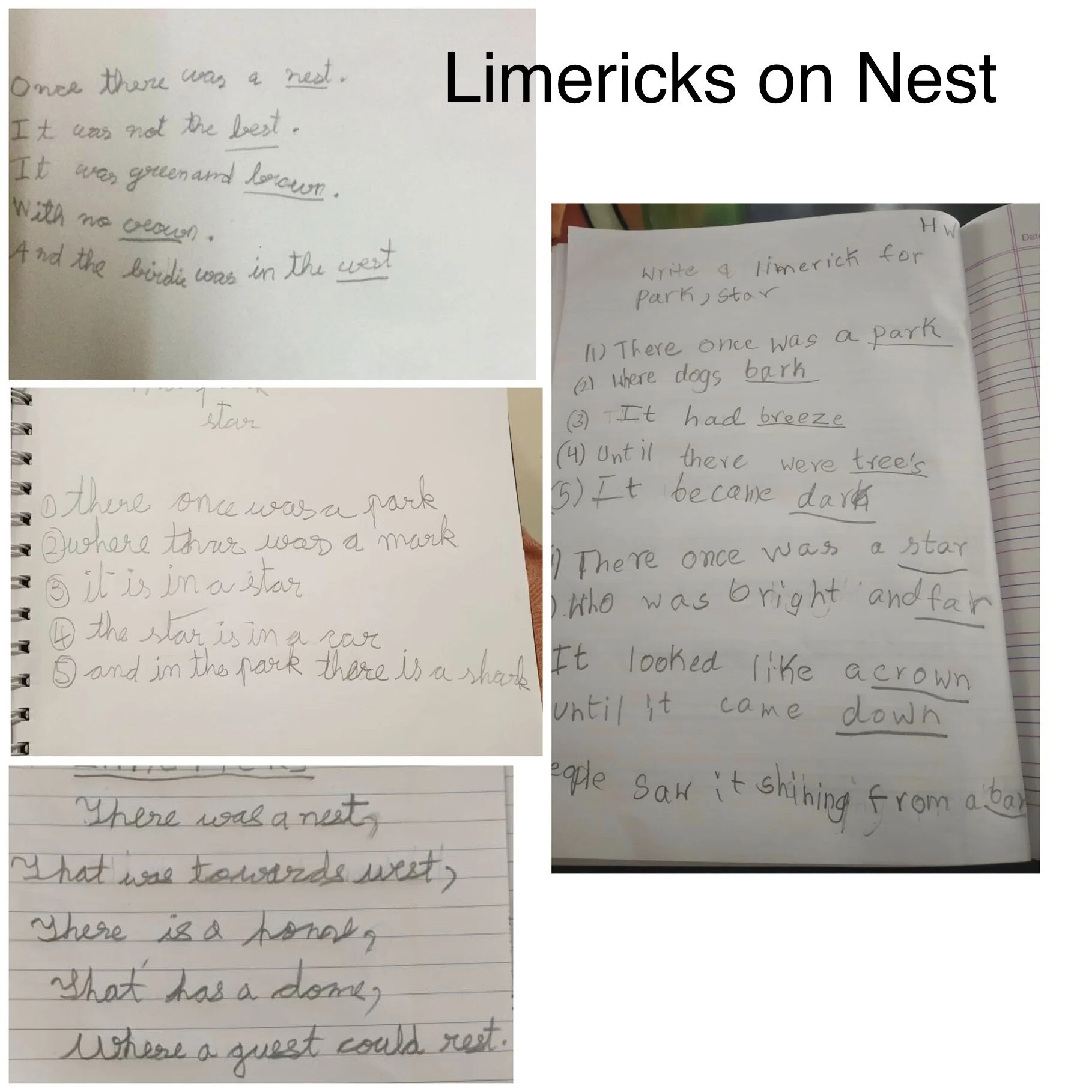 Limericks worksheet